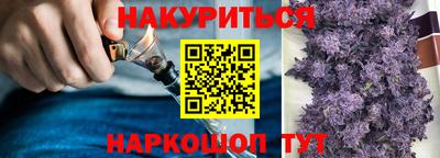 скорость Новозыбков
