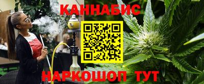 скорость Новозыбков