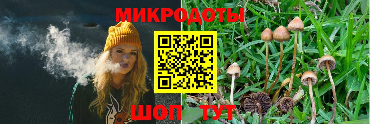Псилоцибиновые грибы прущие грибы Тимашёвск