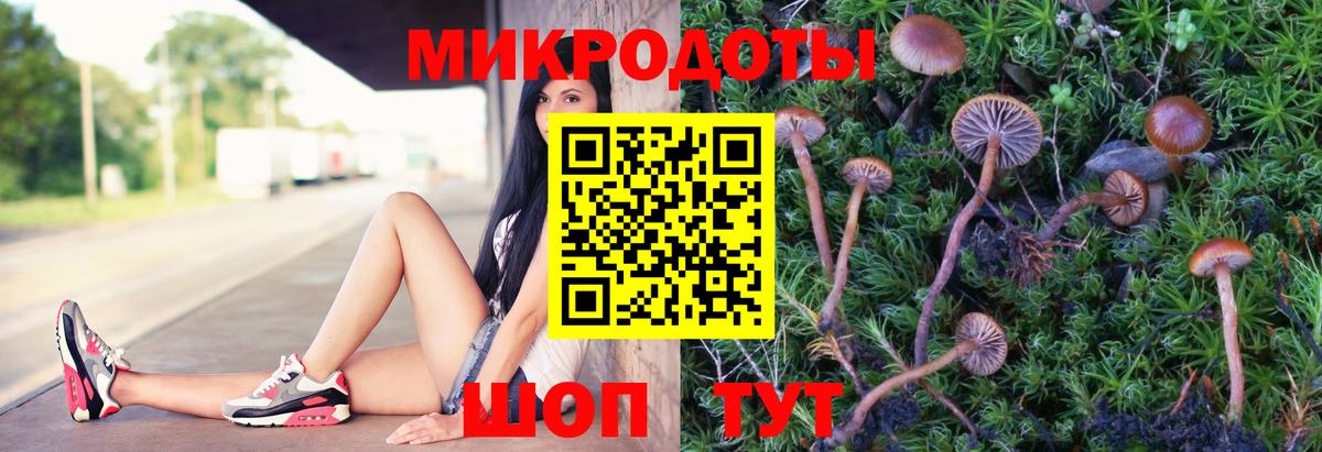 Тимашёвск  Галлюциногенные грибы MAGIC MUSHROOMS  Псилоцибиновые грибы прущие грибы  Вход с VPN 